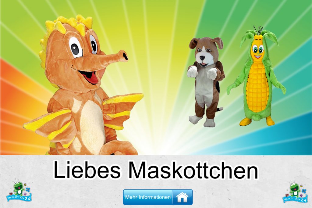 Liebes-Kostueme-Maskottchen-Karneval-Produktion-Firma-Bau